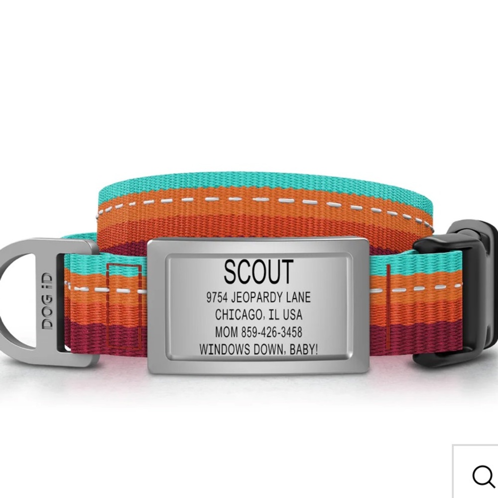 NWOT never used Dog Collar and Leash